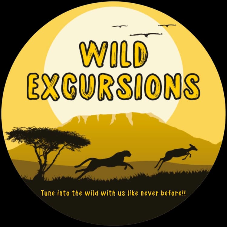 Wild Excursions safari emblem